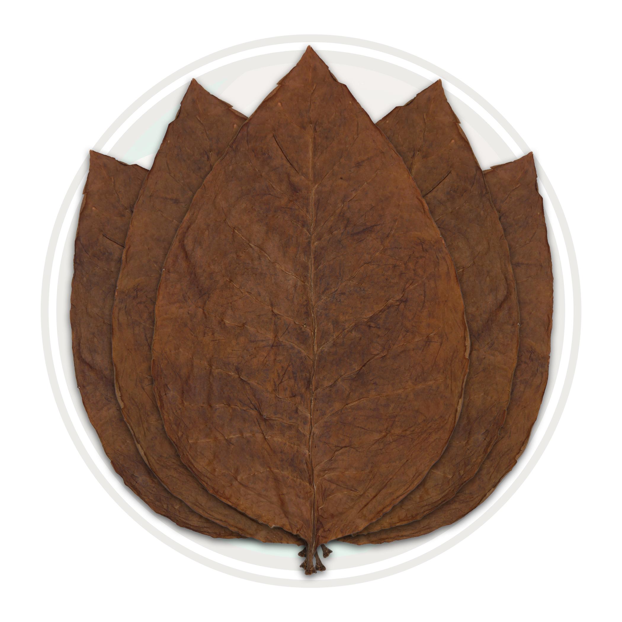 Indonesian Bezuki Cigar Wrapper Whole Tobacco Leaf